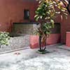 thumb casa rui barbosa 02