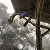 thumb-vista-chinesa-gargula
