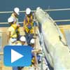 rest_thumbs-video-cristo-2010