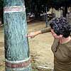 rest_pedra_pedestal